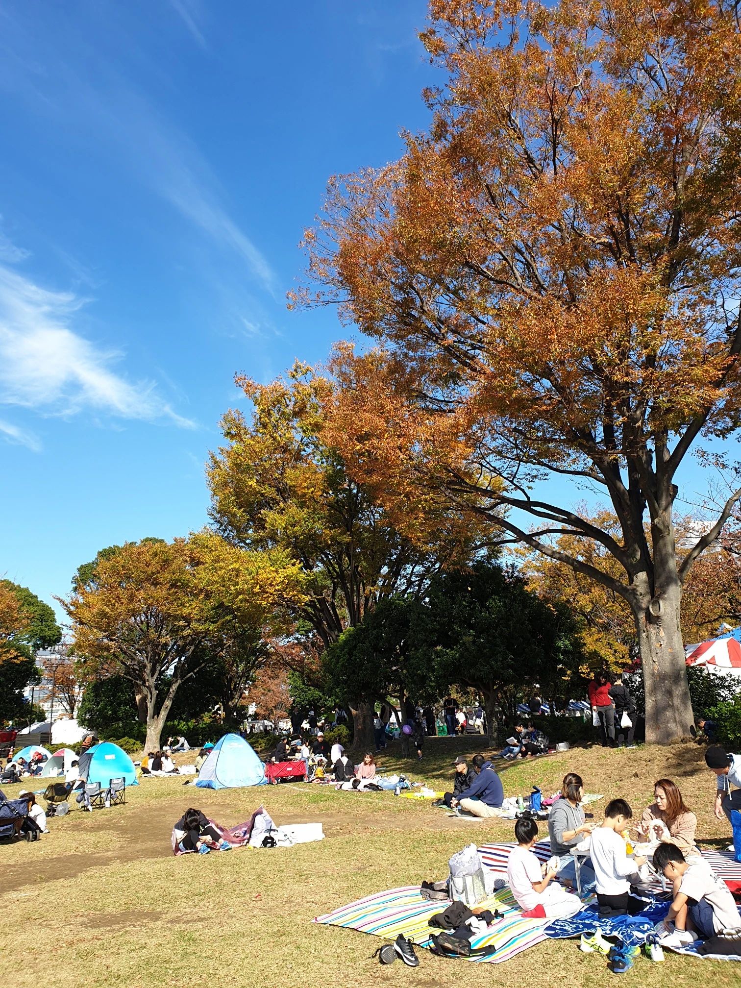 🌳 신코이와 공원 (신코이와 코엔) 이미지 10